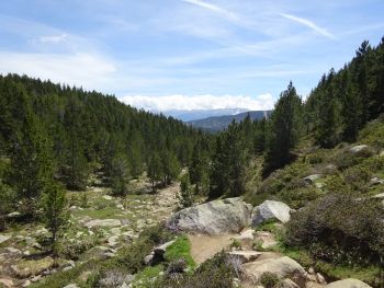 Ger&ouml;ll-Bachbett bergaufw&auml;rts